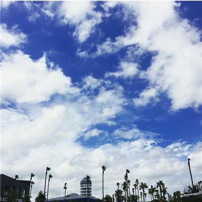 诺亚体育app下载安装手机版最新截图